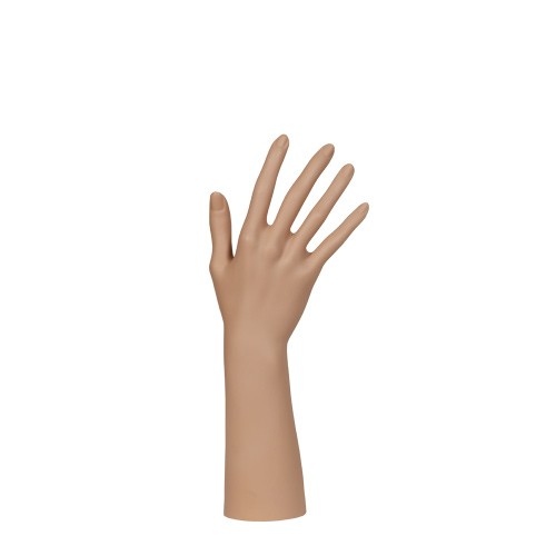 6733-0-004-850 Hand Display Damen