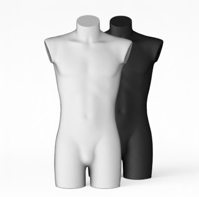 Herrentorso mit Beinansatz