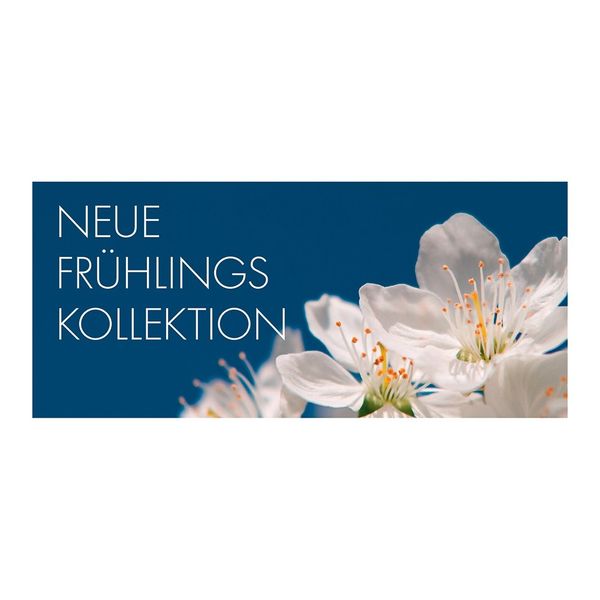 Plaket-Streifen-6660-Fr-hling Plakat " NEUE FRÜHLINGS KOLLEKTION " - quer