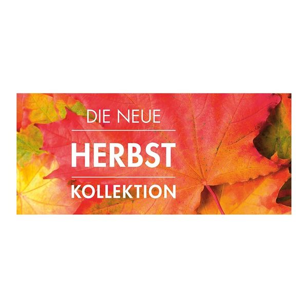 Plaket-Streifen-6660-Herbst Plakat " DIE NEUE HERBST KOLLEKTION " - quer